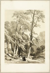 Plataan, uit Het park en het bos door James Duffield Harding