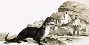 Otter met vis en vissende man