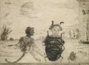 Eigenaardige Insecten