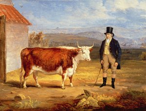 Mr James Hodges en zijn Tweejarige Hereford Koe, c.1843 door James Flewitt Mullock
