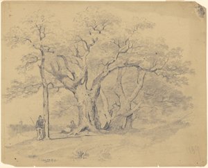 Bij de oude eikenbomen