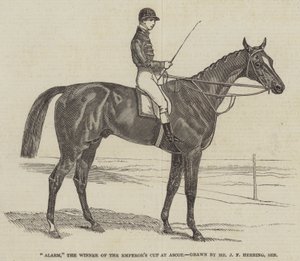 Alarm, de winnaar van de Keizer
