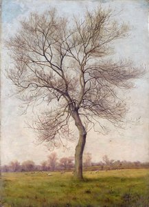 Studie van een Es in de Winter