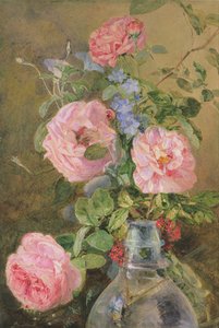 Rozen, Winde en Ridderspoor