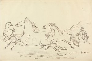 Drie paarden en staljongen door James Howe