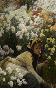 Chrysanten