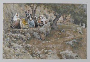 Het primaatschap van Sint Petrus