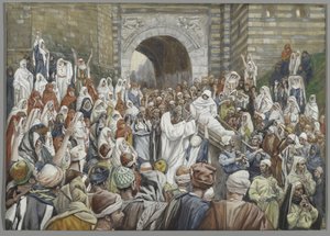 De opstanding van de zoon van de weduwe in Nain, illustratie uit 