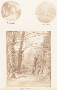 De Benadering, In het Bos, Bij het Meer