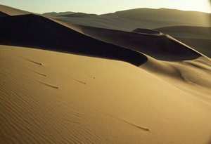 Uitzicht op scherp gesneden schaduwrijke duinen nabij Dunhuang. Gansu Provincie, Volksrepubliek China