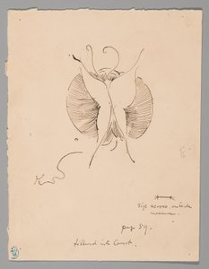 Vlinder (recto); Fragment van vlinder (verso)