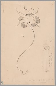 Vlinder (recto); Studie van een vlinder (verso) door James McNeill Whistler