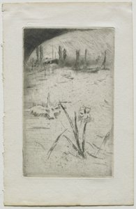 Zwaan en iris