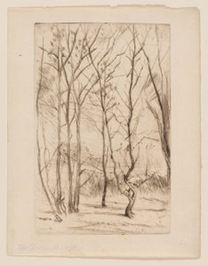 Het Damhout