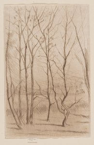 Het damhout door James Abbott McNeill Whistler