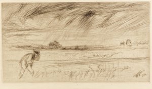De storm