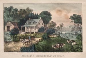 Amerikaanse hoeve, zomer