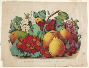 Amerikaans Zomerfruit