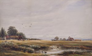 De dorpsvijver