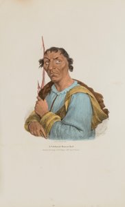 Een gevierd Ottowa opperhoofd, uit de Aboriginal Portfolio door James Otto Lewis