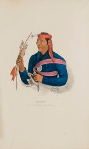 Een opperhoofd uit Miami, uit de Aboriginal Portfolio door James Otto Lewis