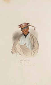 CHA-CO-TO, een Pottowattomie opperhoofd, uit de Aboriginal Portfolio