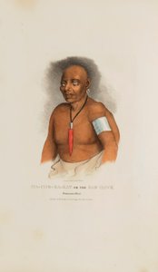 MA-CHE-KA-KAT of de slechte havik; een Monomonie opperhoofd, uit de Aboriginal Portfolio door James Otto Lewis