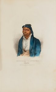 MO-WAN-ZA of De kleine wolf; een opperhoofd uit Miami, uit de Aboriginal Portfolio door James Otto Lewis
