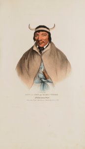 SUN-A-GET of moeilijke tijden; een Pottawatomie opperhoofd, uit de Aboriginal Portfolio door James Otto Lewis