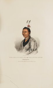 TOO-SHA-NA-GAN-KA of de kleine Otter; een Winnebago opperhoofd, uit de Aboriginal Portfolio
