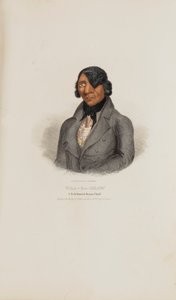 WAA-BA-SHAW; een gevierd Sioux opperhoofd, uit de Aboriginal Portfolio door James Otto Lewis