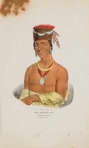 WAA-BIN-DE-BA of de adelaar met het witte hoofd; een Chippeway opperhoofd, uit de Aboriginal Portfolio door James Otto Lewis
