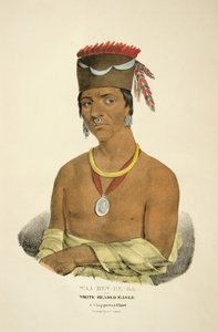Waa-bin-de-ba of de Witte Gehoofd Adelaar door James Otto Lewis