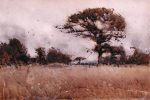 Wind