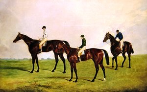 Renpaarden Jockeys Op door James Pollard
