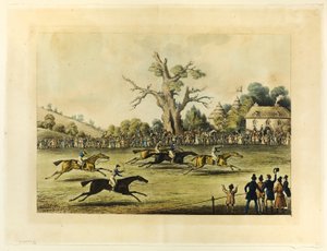 Saint Albans Grote Steeple Chase door James Pollard