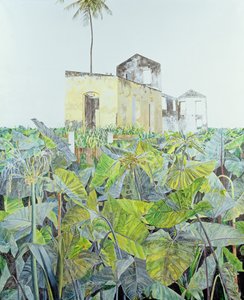 Ruïne in een Moeras, Haïti, 1971