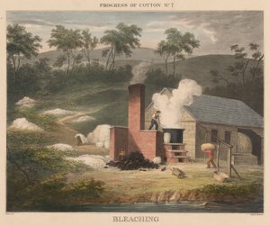 Voortgang van katoen, #7: Bleken door James Richard Barfoot