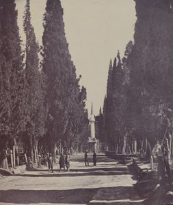 Vue dans le Grand Cimetière de Scutari door James Robertson