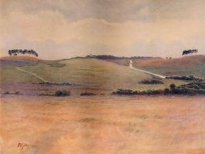 Chobham Common, 1911 door James S Ogilvy