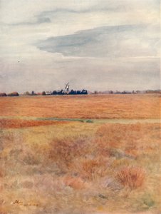 Wimbledon Common, 1912, 1914