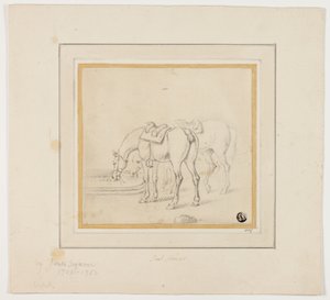 Twee Paarden Drinken door James Seymour