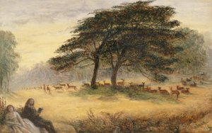Liefhebbers in Richmond Park (Windsor Park)