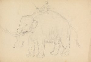 Olifant met ruiter