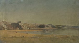 Landschap