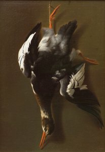 Dode Vogel, c.1815 door James Thom
