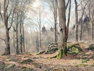 Een Wels Hout