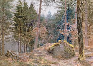 In een Welshe bos, winter door James Thomas Watts