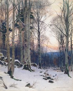 Schemering, Beukenbossen