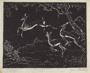 Vlucht door James W. Reid